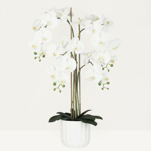 Orchidée artificielle toucher naturel 100cm sur fond beige