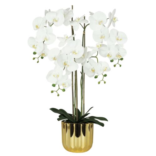 Orchidée artificielle toucher naturel 100cm sur fond blanc