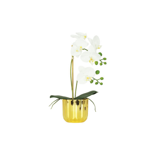 Orchidée artificielle toucher naturel 40cm sur fond blanc