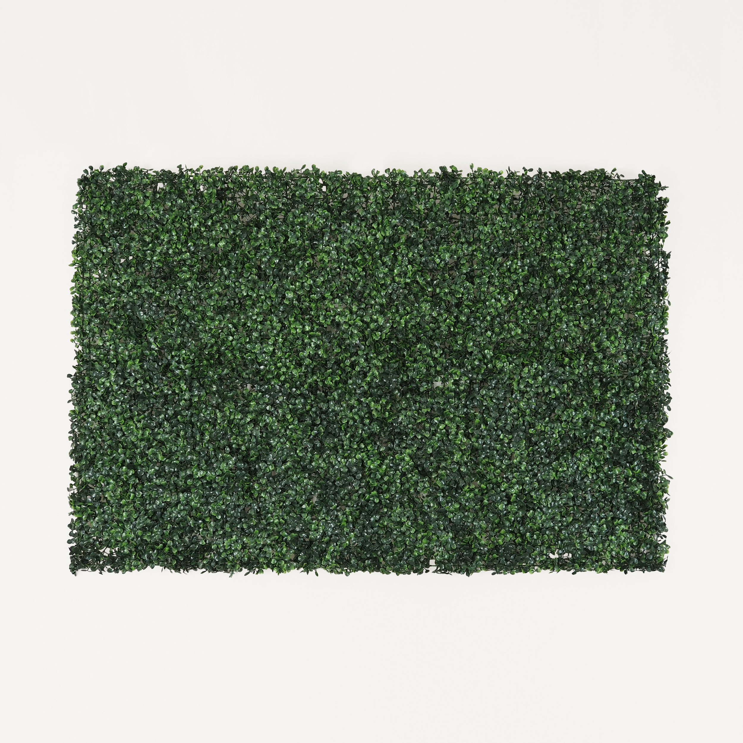 Mur végétal artificiel de buis 80x120cm sur fond beige