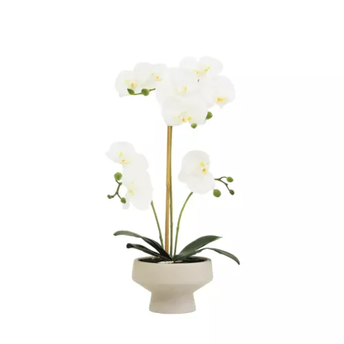 Orchidée artificielle toucher naturel 45cm sur fond blanc