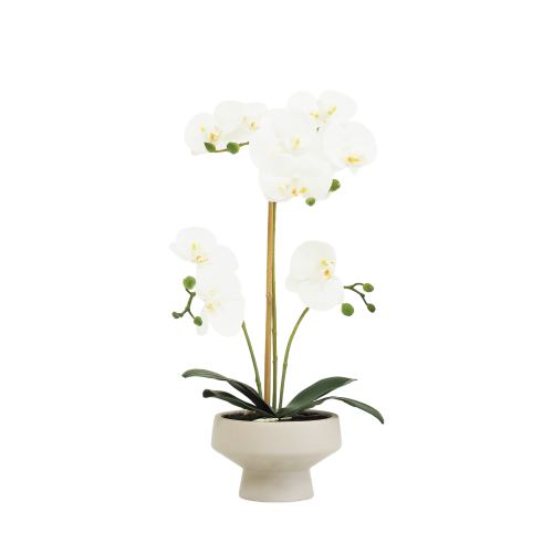Orchidée artificielle toucher naturel 45cm sur fond blanc