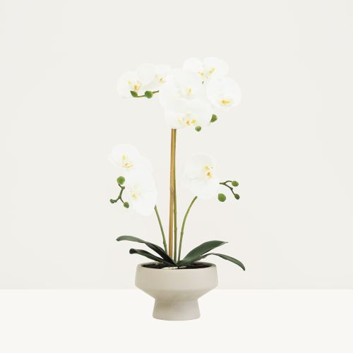 Orchidée artificielle toucher naturel 45cm sur fond beige
