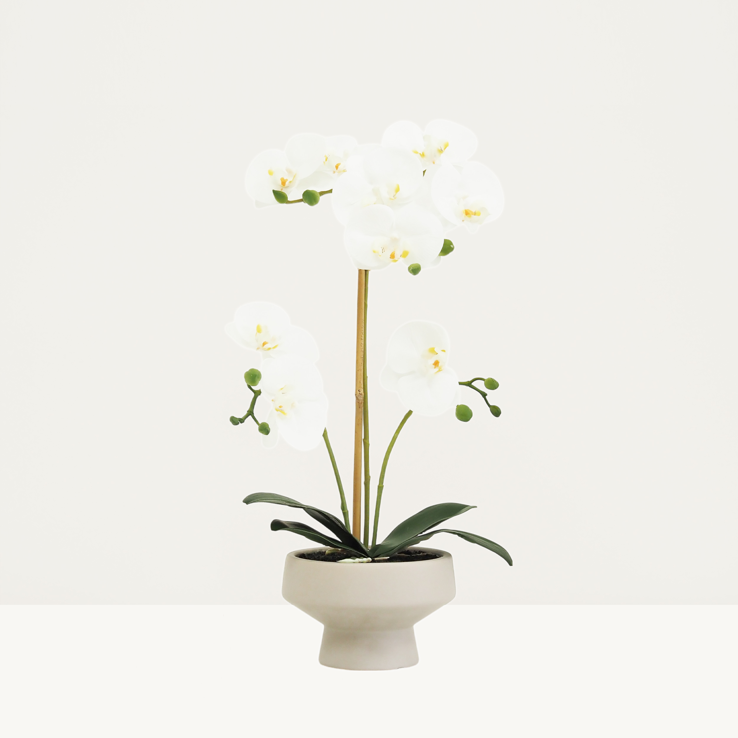 Orchidée artificielle toucher naturel 45cm sur fond beige