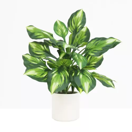 Dieffenbachia camilla artificiel toucher naturel 65cm sur fond gris