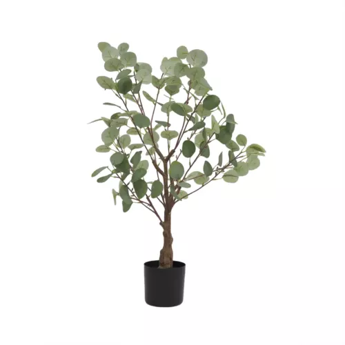 Eucalyptus artificiel 85cm sur fond blanc
