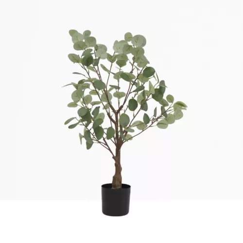 Eucalyptus artificiel 85cm sur fond gris