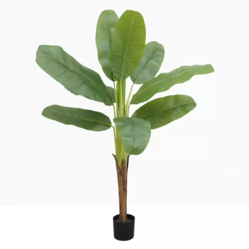 Bananier artificiel 160cm sur fond beige