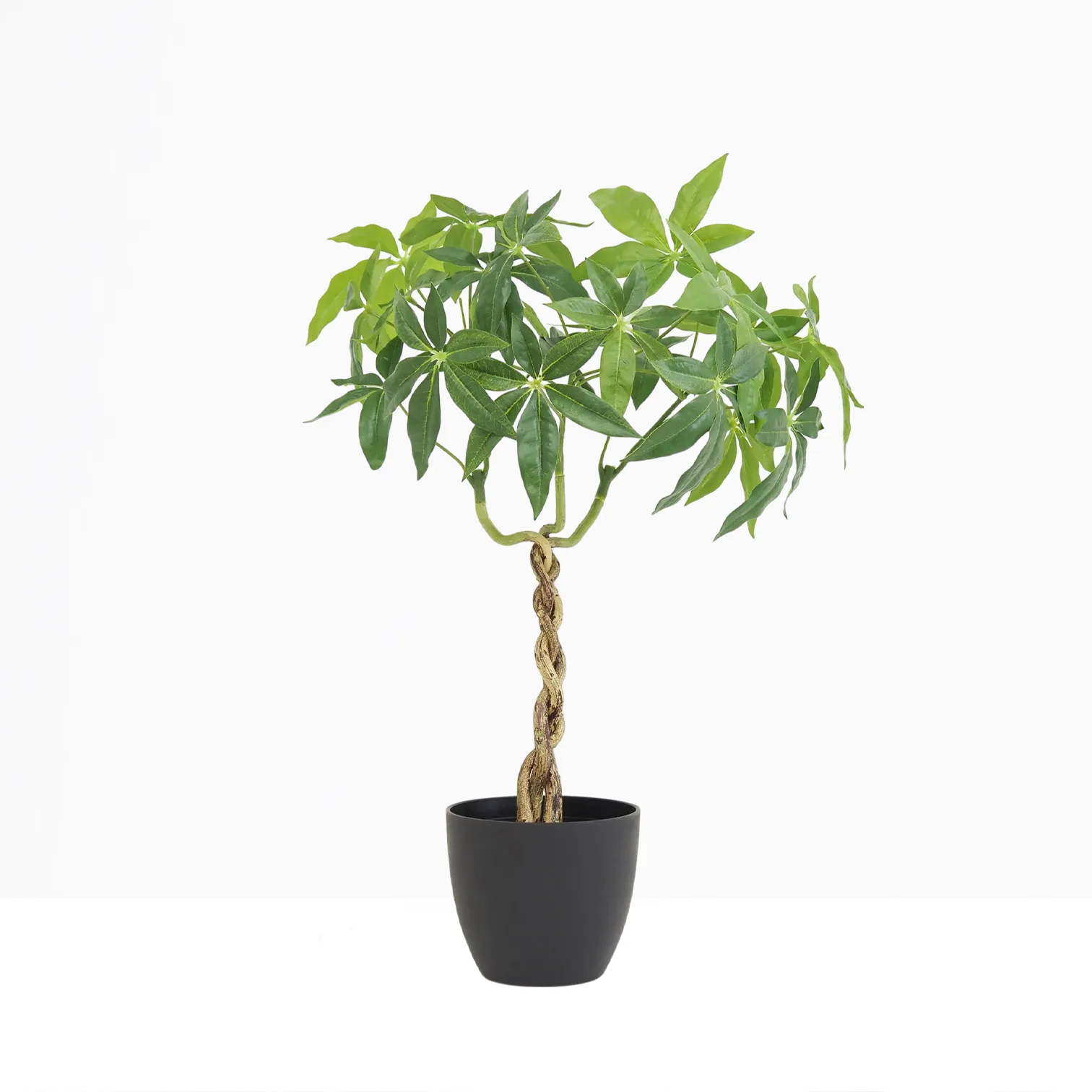 Plante artificielle pachira 60cm sur fond gris