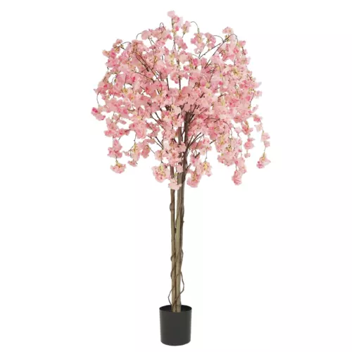 Cerisier artificiel retombant rose 180cm sur fond blanc