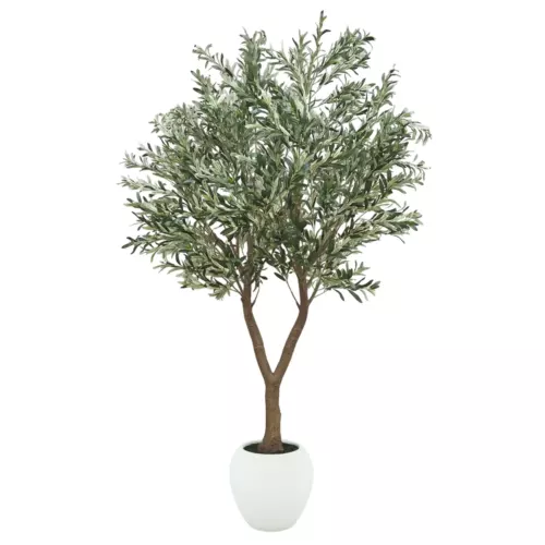 Olivier artificiel pot blanc 240cm sur fond blanc