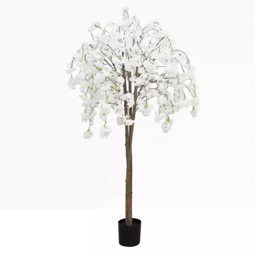 Cerisier artificiel retombant blanc 180cm sur fond beige