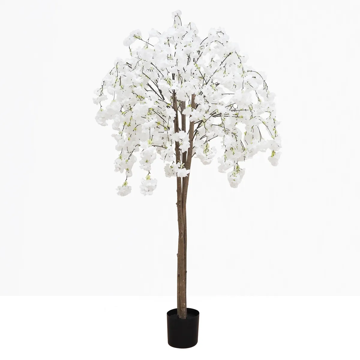 Cerisier artificiel retombant blanc 180cm sur fond beige