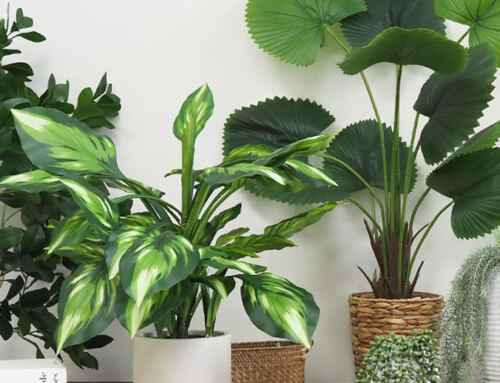 Plante artificielle VS plante naturelle : avantages et inconvénients
