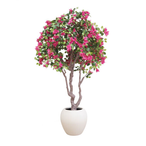 Bougainvillier artificiel fuchsia 220cm sur fond blanc