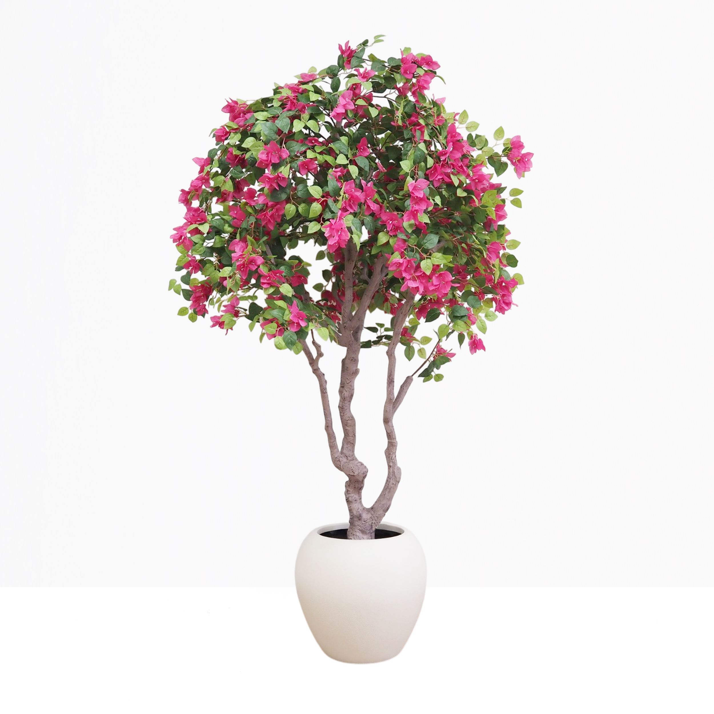 Bougainvillier artificiel fuchsia 220cm sur fond beige