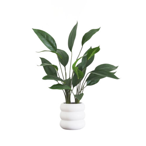 Plante artificiel taro 40cm sur fond blanc