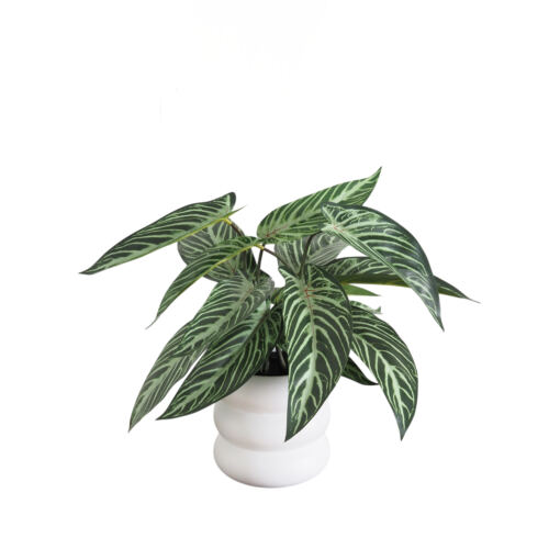 Plante artificiel taro 40cm sur fond blanc