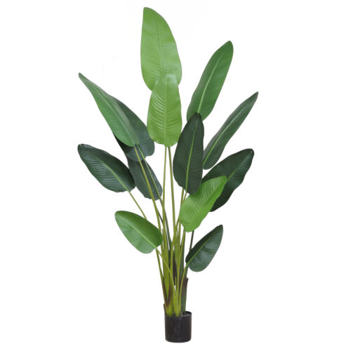 Plante artificielle oiseau du paradis 235cm sur fond blanc