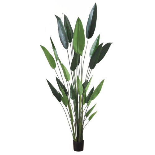 Plante artificielle héliconia 210cm sur fond blanc