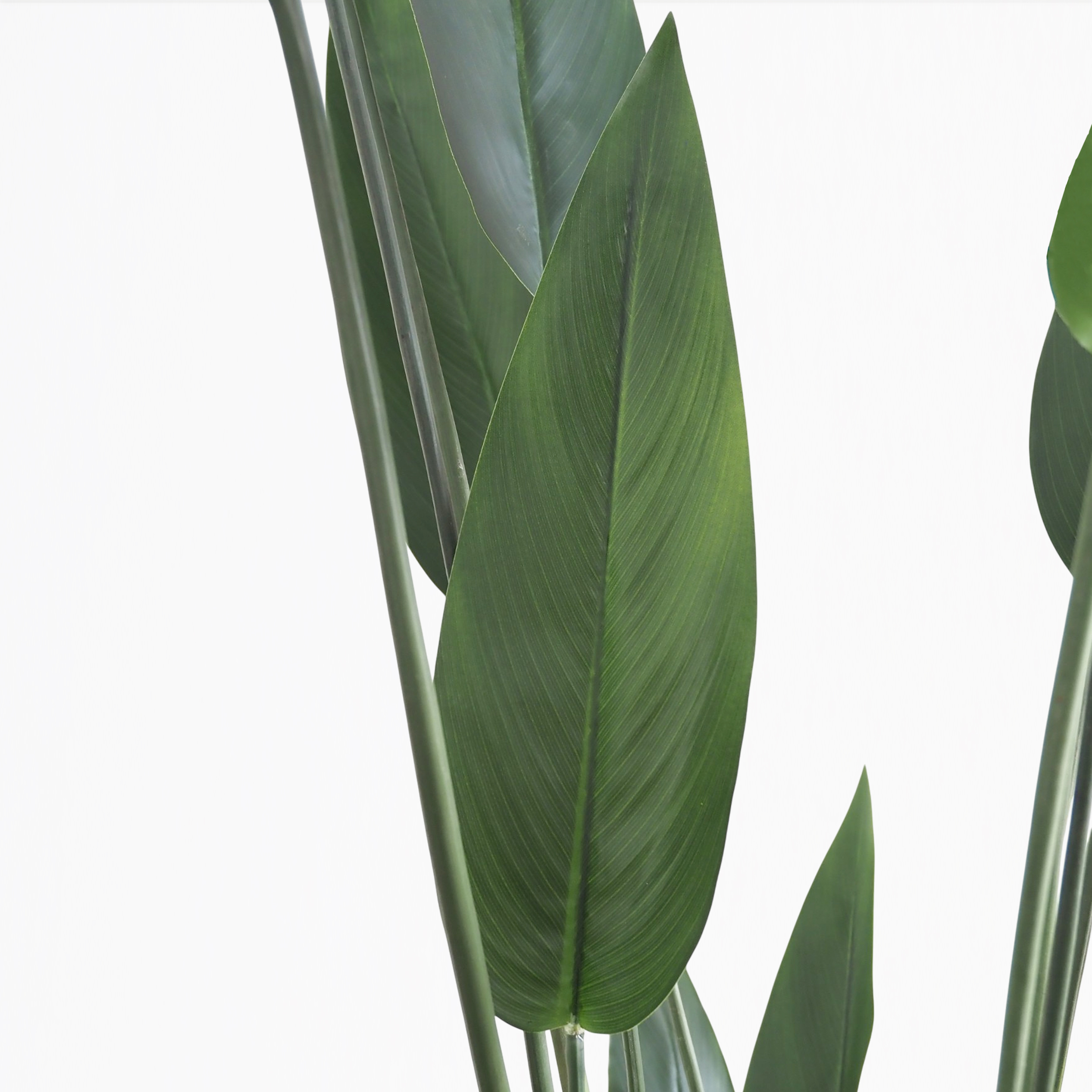 Plante artificielle héliconia 210cm focus zoom feuilles